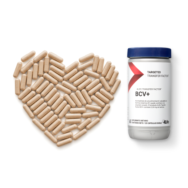 4Life Transfer Factor® BCV+ - Imagen 2